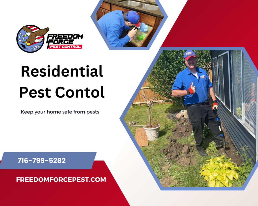 Residential Pest Control Near Me in Buffalo NY Freedom Force Pest Control